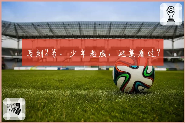 马刺2号，少年老成，这集看过？